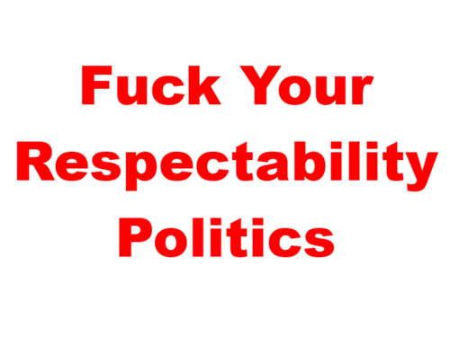 Fuck Your Respectability Politics Banner